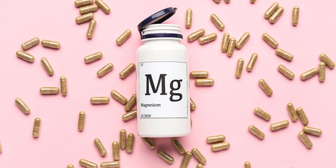 NUEVAS IMÁGENES - BLOG (3)