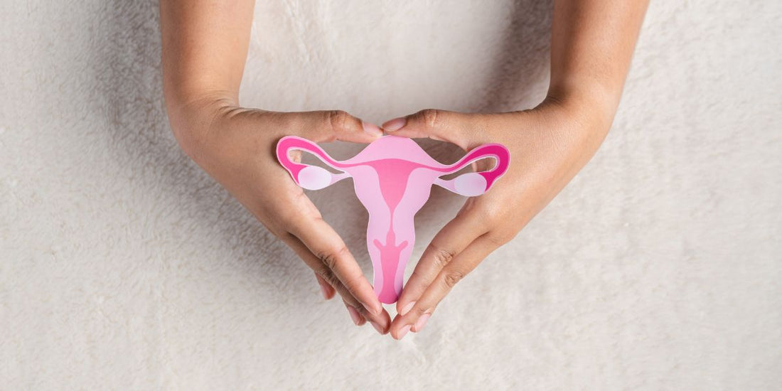 NUEVAS IMÁGENES - BLOG (5)