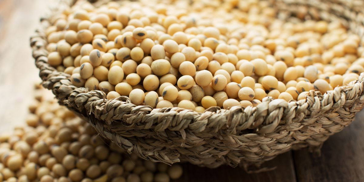 Señales pre-menopausia (3)