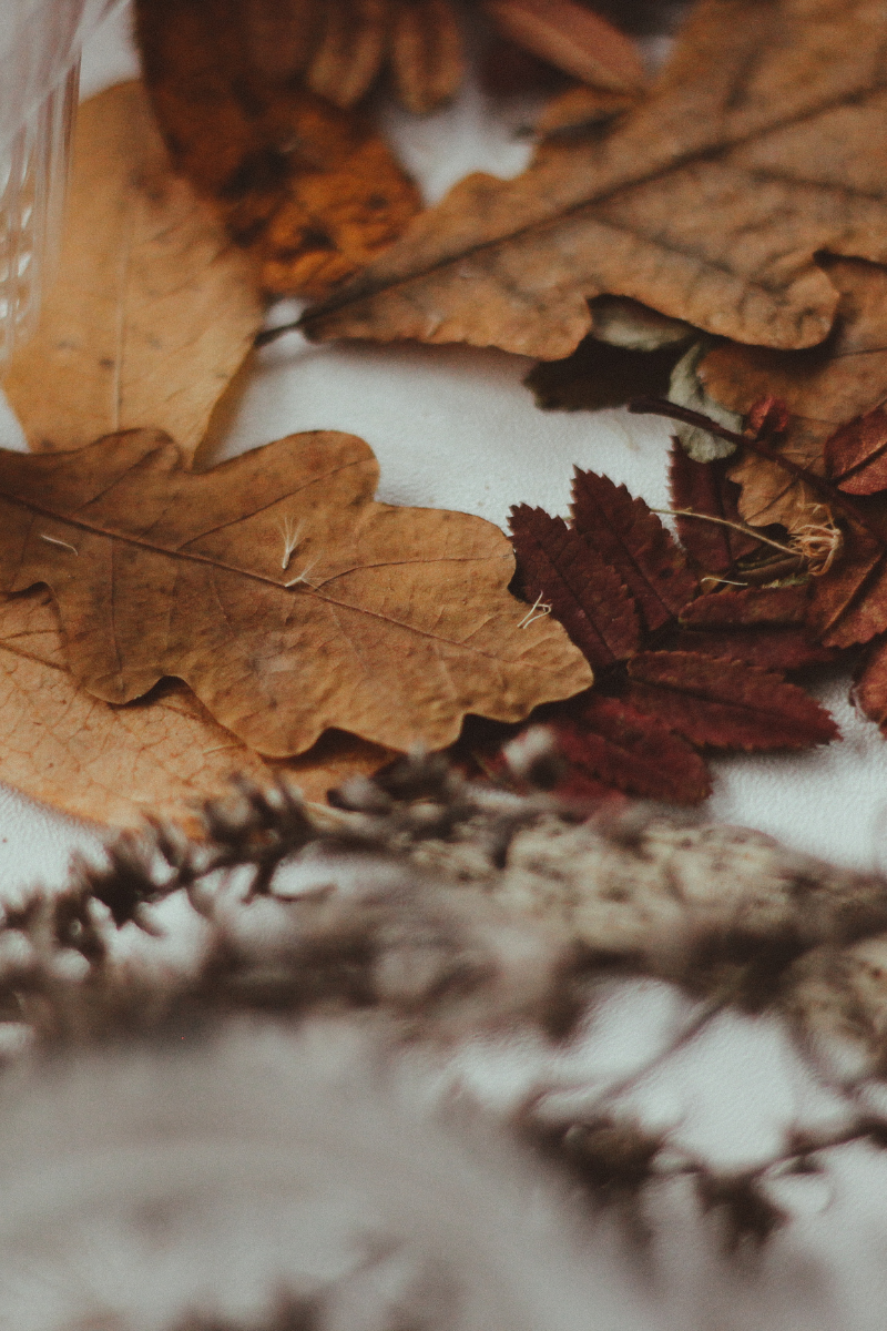 Como Afecta la Astenia Otoñal en la Menopausia | DOMMA