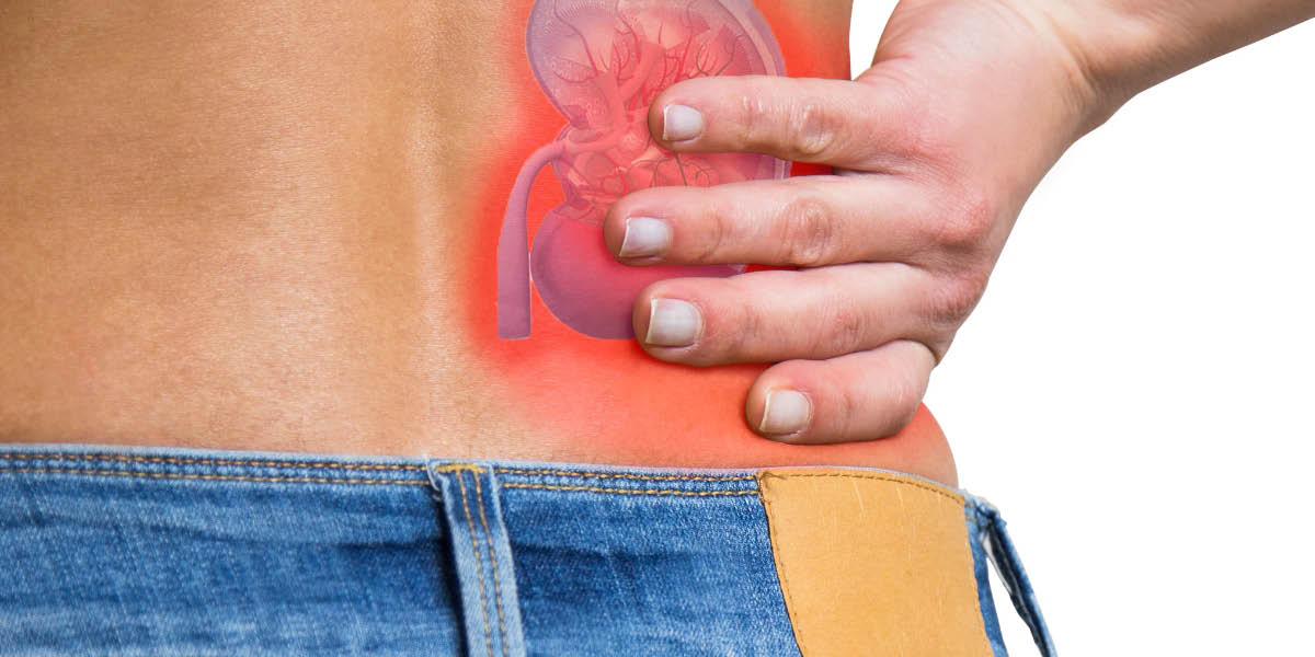 cuidar-rinones-menopausia