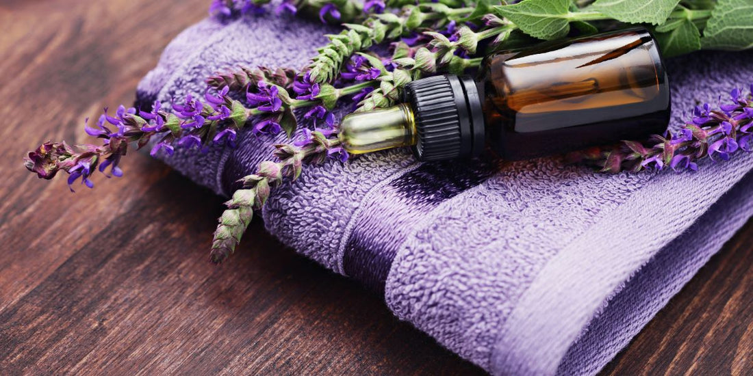 salvia-propiedades-menopausia-DOMMA