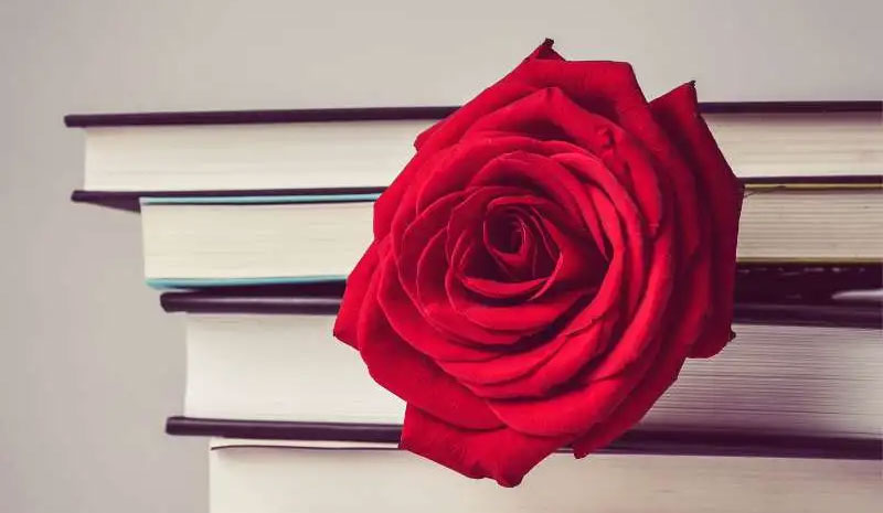 Este Sant Jordi Enamorate de Tu Madurez | DOMMA