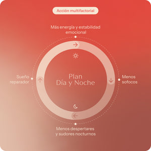 Plan estrés y ansiedad