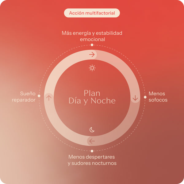 Plan estrés y ansiedad