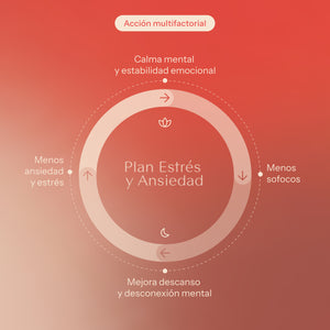 Plan estrés y ansiedad