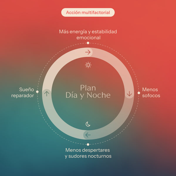 Plan sofocos día y noche