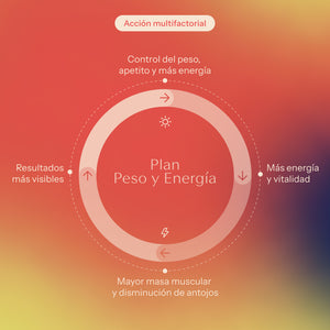 Plan control de peso y energia