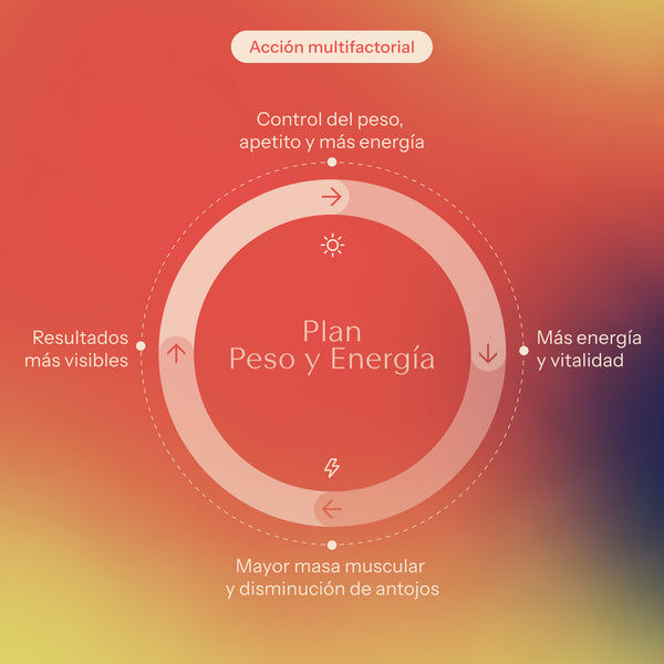 Plan control de peso y energia.