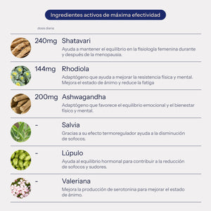 Plan estrés y ansiedad