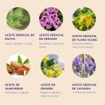 ingredientes reset
