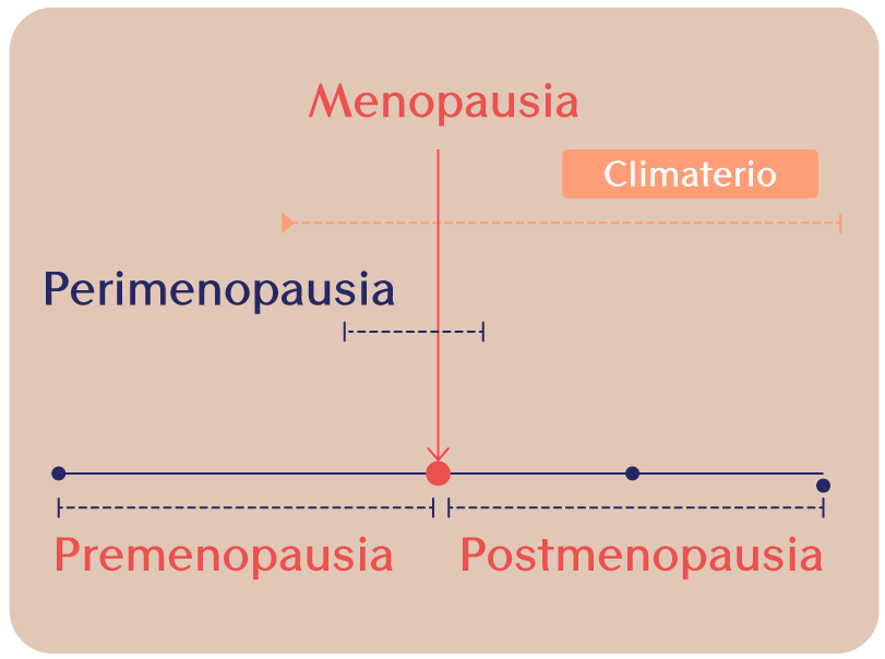 infografía etapa menopausia