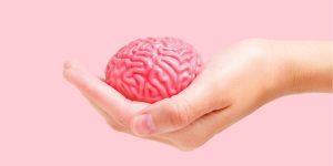 cambios cerebrales